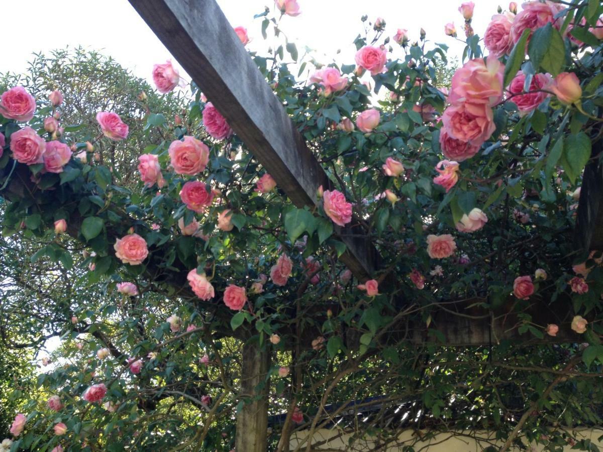 Country Bliss Cottage غريتاون المظهر الخارجي الصورة